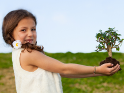 Bonsai workshop for kids