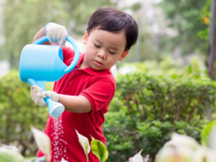 Gully Gardeners - Planting Workshop For Adults And Kids