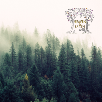 Eco burials