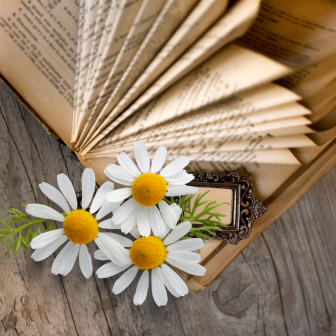 Spring book folding