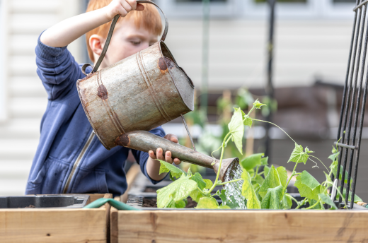 Lilydale Community Gardens - gardening talk
