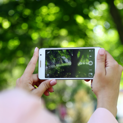 Phone Photography Basics + Photo Walk
