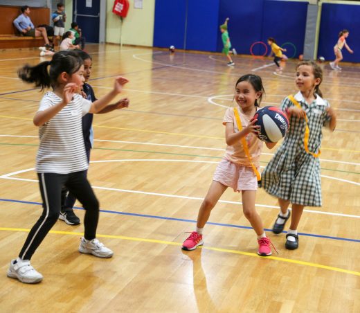 Biddy Ball basketball programs - The Rings