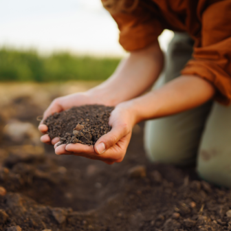 Regenerative Gardening & Mini Market