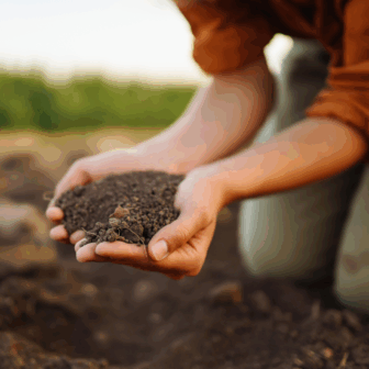 Composting Workshop