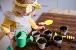 Gully Gardeners Kids: Autumn gardening themed Toddler storytime and planting session