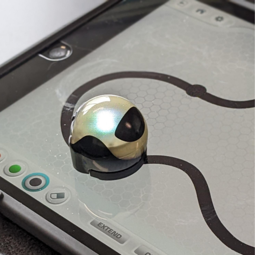 Rolling Robots
