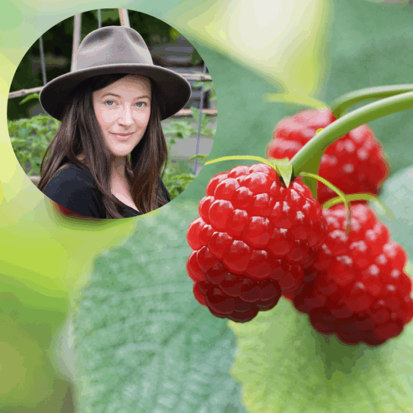 Growing berries with Kat Lavers