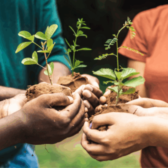Plant Swap & Chat ….. and Make