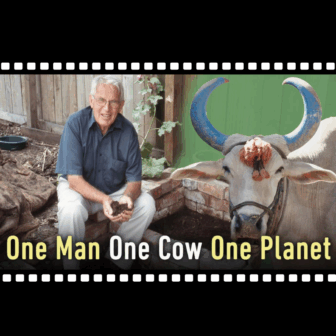 Documentary Screening One Man, One Cow, One Planet