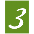 Number 3 icon, white on green